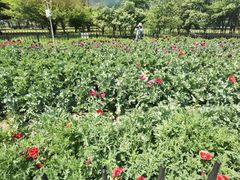 -国家植物园南园