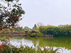 -棠湖公园