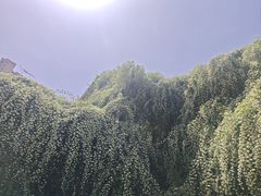 -成都当代影像馆