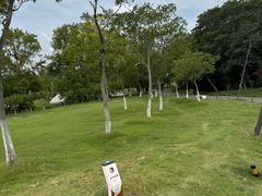 -佛手湖郊野公园