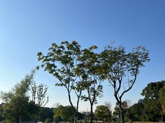 -同济大学(嘉定校区)