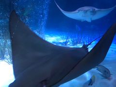 -沈阳海洋探索中心