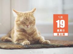 -百丽宫影城(ifc商场店)