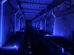-816工程景区
