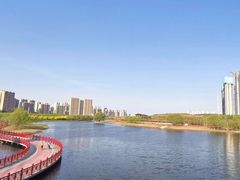 -蒲河岛湿地公园