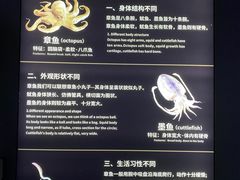 -大连圣亚海洋世界