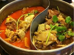 鸳鸯锅-筋头巴脑牛一锅(朝阳路总店)