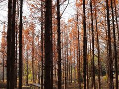 -国家植物园南园