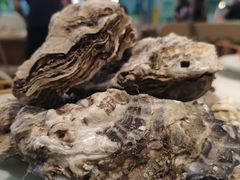 -绿岛港轩海鲜烤肉涮锅自助餐厅