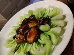 -乔家栅(襄阳南路店)