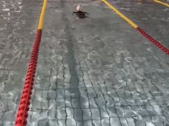 -丰台体育中心·游泳馆