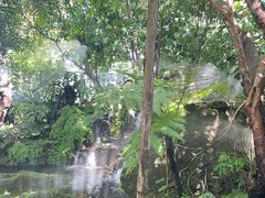 -Chom Cafe and Restaurant