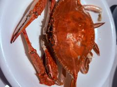 -老大连·海肠捞饭·大连海鲜大连菜(西安路店)