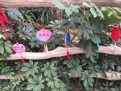 -郑州银基黄帝宫御温泉