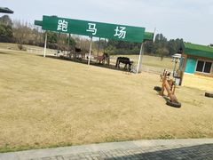 -保利石象湖景区
