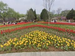 -石家庄市植物园