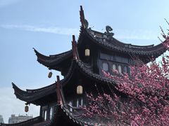 -天一阁博物院