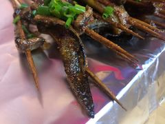-晓靖轩烧烤(沙河风情店)