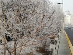 -同喜烤鸭店(光芒店)