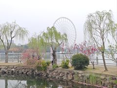 -无锡蠡湖国家湿地公园-蠡园