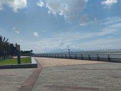 -野狸岛