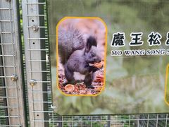 -哈尔滨北方森林动物园
