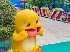 -杭州浪浪浪水公园