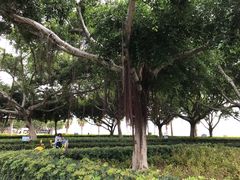 -音乐广场