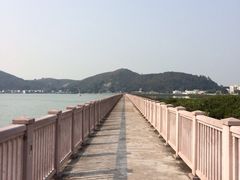 iphone_upload_pic-梅窝