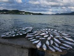 -东钱湖旅游度假区