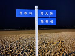 -日照海滨国家森林公园