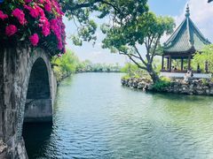 -无锡蠡湖国家湿地公园-蠡园
