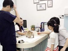 -莘程宠物医院(金山店)