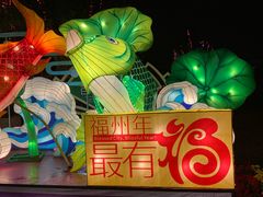 -琅岐红光湖公园