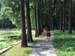 -东湖宾馆-中餐厅