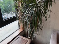 -竹里馆 ·茶食(奥体店)