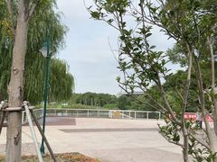 -新江湾城公园