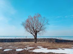 -卧龙湖