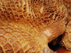 -年记·兴顺斋 牛街清真熟食小吃店