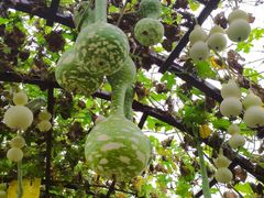 -中国天府农业博览园