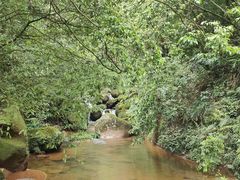 -赤水丹霞旅游区·佛光岩