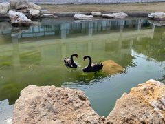 -西昌邛海宾馆