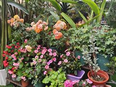 -山水茶艺馆·点心粤菜·30年老字号