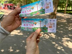 -朝阳公园游乐园