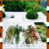 JNBY共生温室创意展，体验超现实空间