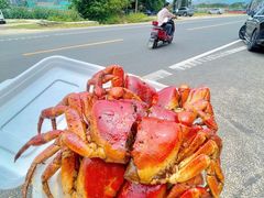 -岛中岛·海鲜大排档·万宁老字号(东澳店)