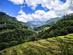 -石台牯牛降景区