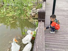 -河北村民俗体验园