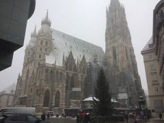 -斯蒂芬主教座堂(Stephansdom)