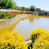 打卡绿野仙踪郊野乐园[胜利]